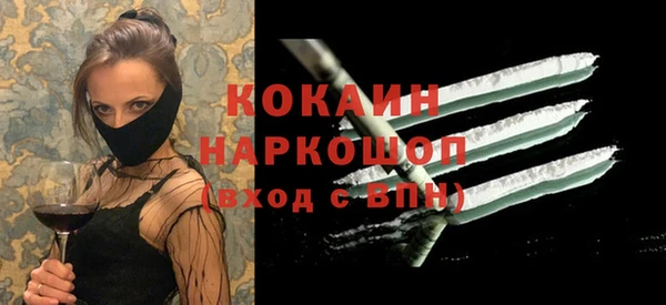 стаф Арсеньев