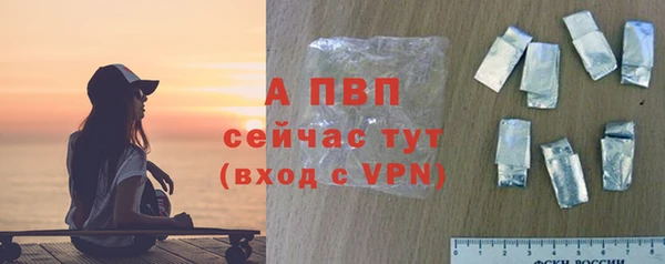 стаф Арсеньев