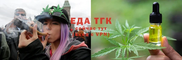 СК Аркадак