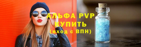 стаф Арсеньев