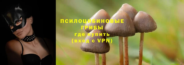 винт Армянск