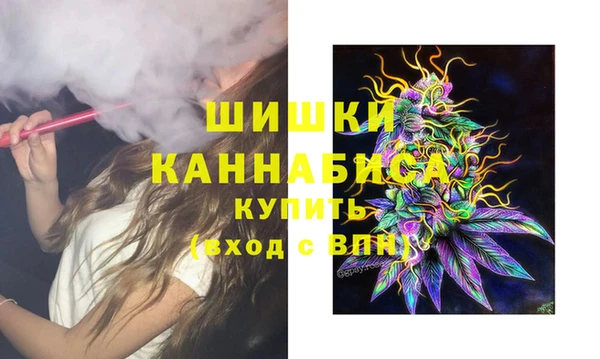 стаф Арсеньев