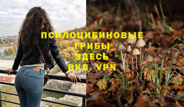 винт Армянск