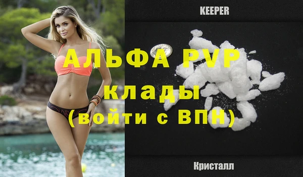СК Аркадак