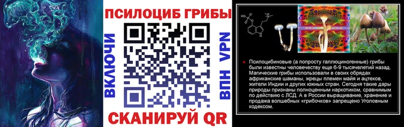 цены   Урус-Мартан  Псилоцибиновые грибы Magic Shrooms 